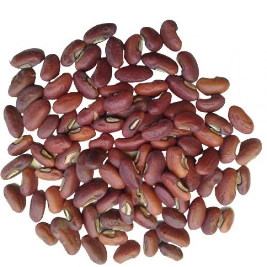Cowpea Seeds Lobia Beans Vegetable Best Quality Hybrid Seeds Home Garden Pack Cowpea Seeds Lobia Beans Vegetable Best Quality Hybrid Seeds Home Garden Pack