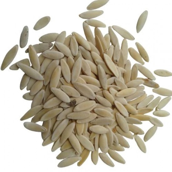 Cucumber Kheera LEO Seed Organic Seeds | Vegetable Seeds Cucumber Kheera LEO Seed Organic Seeds | Vegetable Seeds