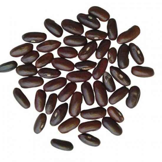 French Bean Vegetable Best Quality Seeds Home Garden Pack French Bean Vegetable Best Quality Seeds Home Garden Pack