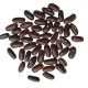 French Bean Vegetable Best Quality Seeds Home Garden Pack