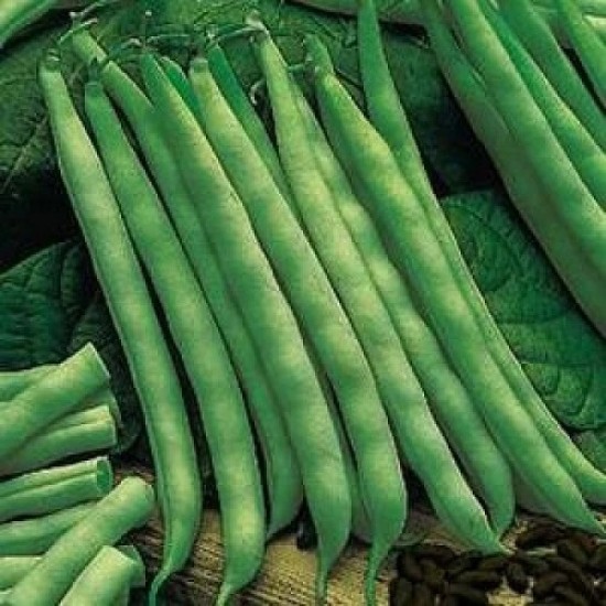 French Beans Vegetable Seeds