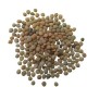 Guar Phali Cluster Beans Vegetable High Quality Seeds