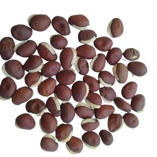 Hyacinth Beans Sem Fali Dwarf Variety Vegetable Seeds (Set of 10 Seeds) Hyacinth Beans Sem Fali Dwarf Variety Vegetable Seeds (Set of 10 Seeds)