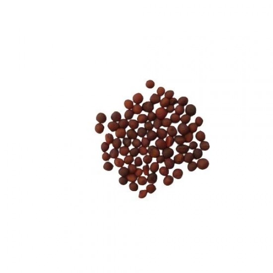 Kale Brassica Oleracea | Vegetable Seeds Kale Brassica Oleracea | Vegetable Seeds