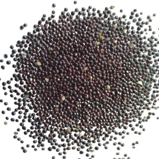 Lal Saag Chaulai Red Amaranth Organic Seeds | Vegetable Seeds Lal Saag Chaulai Red Amaranth Organic Seeds | Vegetable Seeds