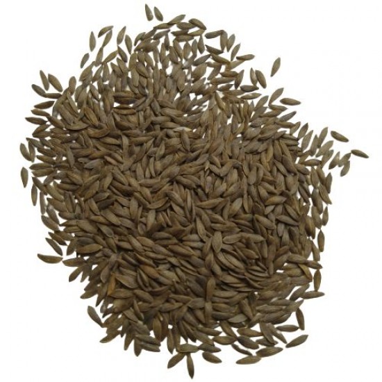 Lettuce Iceberg Round Salad Patta Seeds Seeds | Vegetable Seeds Lettuce Iceberg Round Salad Patta Seeds Seeds | Vegetable Seeds