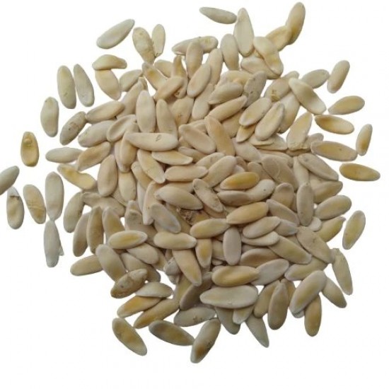 Long Melon Kakri Vegetable Seeds Long Melon Kakri Vegetable Seeds