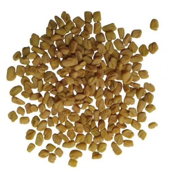 Methi Fenugreek मेथी Organic Medicinal Vegetable Seeds Methi Fenugreek मेथी Organic Medicinal Vegetable Seeds