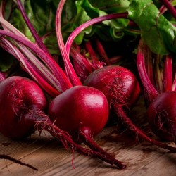 Organic Beetroot (Chukandar) Seeds - Grow Fresh and Nutritious Vegetables at Home Organic Beetroot (Chukandar) Seeds - Grow Fresh and Nutritious Vegetables at Home