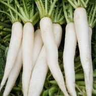 Organic Radish White Long Seeds For Home Gardening