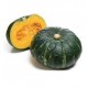 Vegetable Seeds: Pumpkin Seeds - [Safed Kaddu,Kumbalanga] - Vegetable Seeds Kitchen Garden Pack 