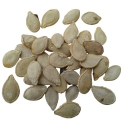 Pumpkin सीताफल कद्दू पेठा Sitafal Kaddu Vegetable Seeds