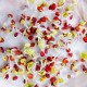 Radish (Mooli) Seeds White Long | मूली के बीज