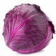 Red Cabbage Imported Seeds | Vegetable Seeds