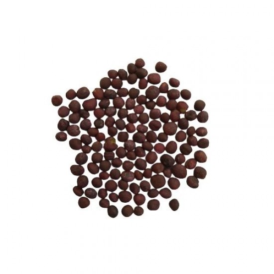 Red Cabbage Imported Seeds | Vegetable Seeds Red Cabbage Imported Seeds | Vegetable Seeds