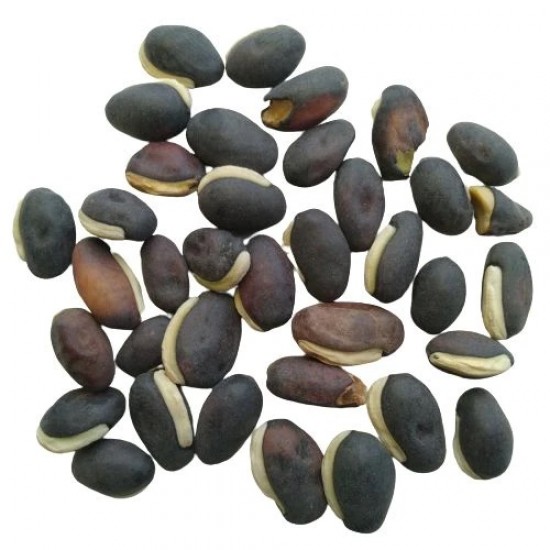 Sem Fali Lima Flat Beans Swati High Quality Seeds | Vegetable Seeds Sem Fali Lima Flat Beans Swati High Quality Seeds | Vegetable Seeds