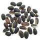 Sem Fali Lima Flat Beans Swati High Quality Seeds | Vegetable Seeds