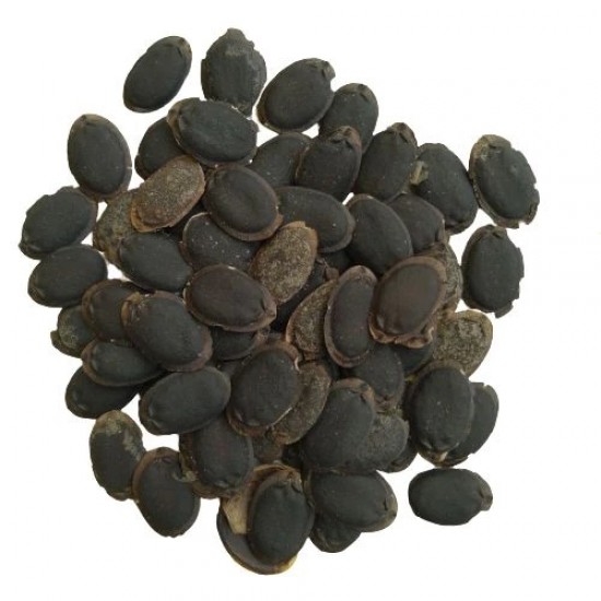 Sponge Gourd Seeds Turai Tori Vegetable (15 Seeds) Sponge Gourd Seeds Turai Tori Vegetable (15 Seeds)