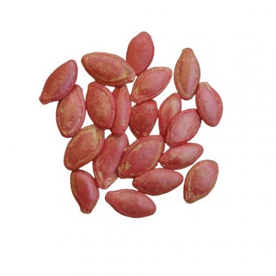 Squash Zucchini Black Beauty Organic Vegetable Seeds