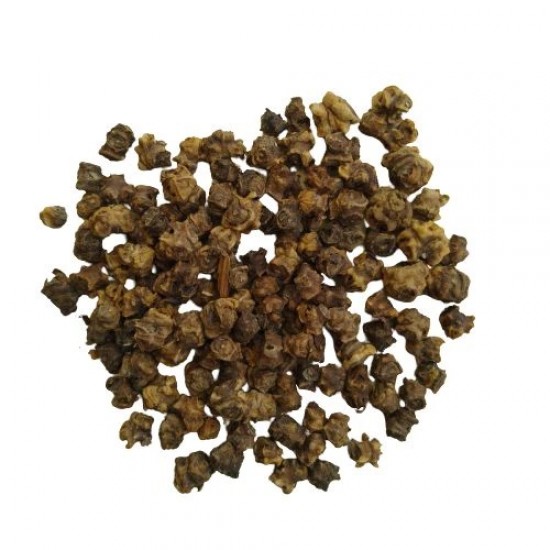 Lettuce Salad Seeds | Vegetable Seeds | Grow healthy, vitamins and minerals rich salad at home Lettuce Salad Seeds | Vegetable Seeds | Grow healthy, vitamins and minerals rich salad at home
