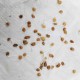 Tomato F1 Hybrid Seeds (Tamatar) | टमाटर के बीज 