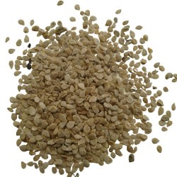 Organic Tomato Seeds For Home Gardening