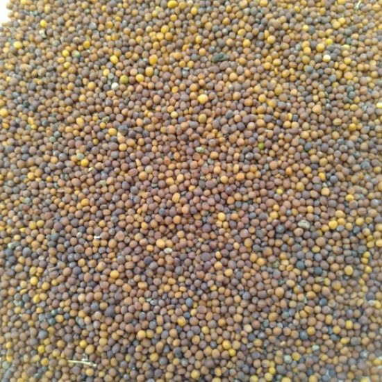 Turnip Red Ball Shalgam Seeds (Set of 100 Seeds) | Vegetable Seeds