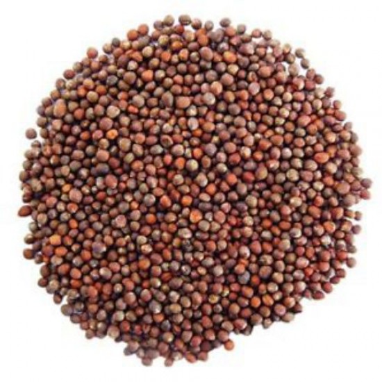 Broccoli Green Gobhi Seeds | Vegetable Seeds Broccoli Green Gobhi Seeds | Vegetable Seeds