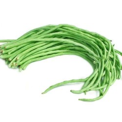Cowpea Seeds Lobia Beans Vegetable Best Quality Hybrid Seeds Home Garden Pack Cowpea Seeds Lobia Beans Vegetable Best Quality Hybrid Seeds Home Garden Pack