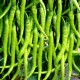 Chilli Hari Mirch Seeds | Vegetable Seeds
