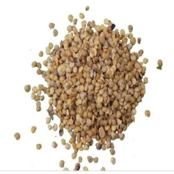 Brinjal Round Baingan variety Seeds | Vegetable Seeds