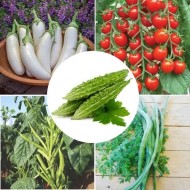 Vegetable Seeds Combo Pack (Set of 5 Packets) | Brinjal, Tomato, Moringa, Cluster Beans, Bittergourd