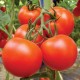 Tomato Organic Seeds | Vegetable Seeds