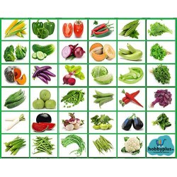 Indian Vegetable Seeds 35+ Variety (Non GMO) Combo pack. Indian Vegetable Seeds 35+ Variety (Non GMO) Combo pack.