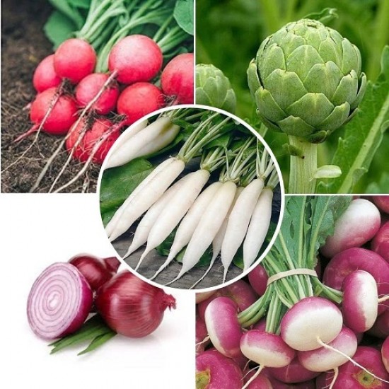 Winter Vegetable Seeds Combo Pack (Set of 5 Packets) | Turnip, Onion, Radish, Turnip, Artichoke