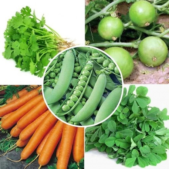 Winter Vegetable Seeds Combo Pack (Set of 5 Packets) | Coriander, Fenugreek, Round Gourd, Peas, Carrot